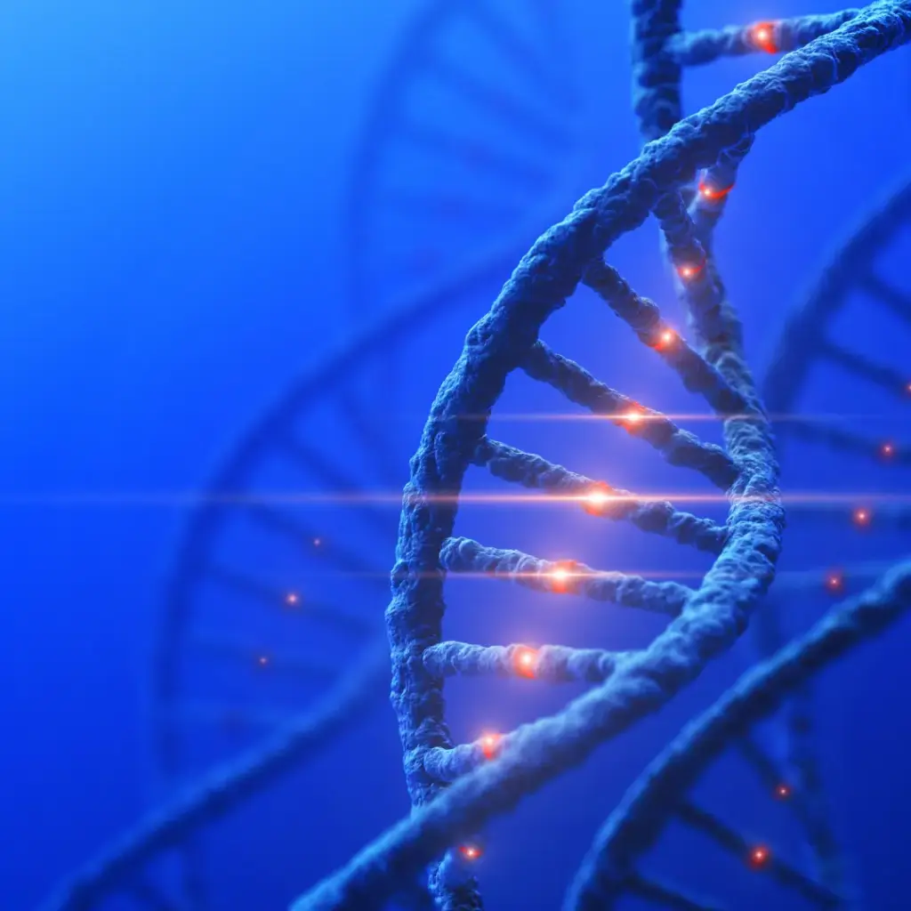 NutriGenética (Test Epigenético)